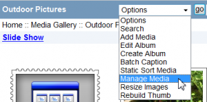 Manage Media Menu Item