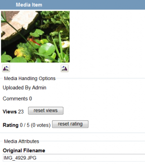 Media Edit Screen